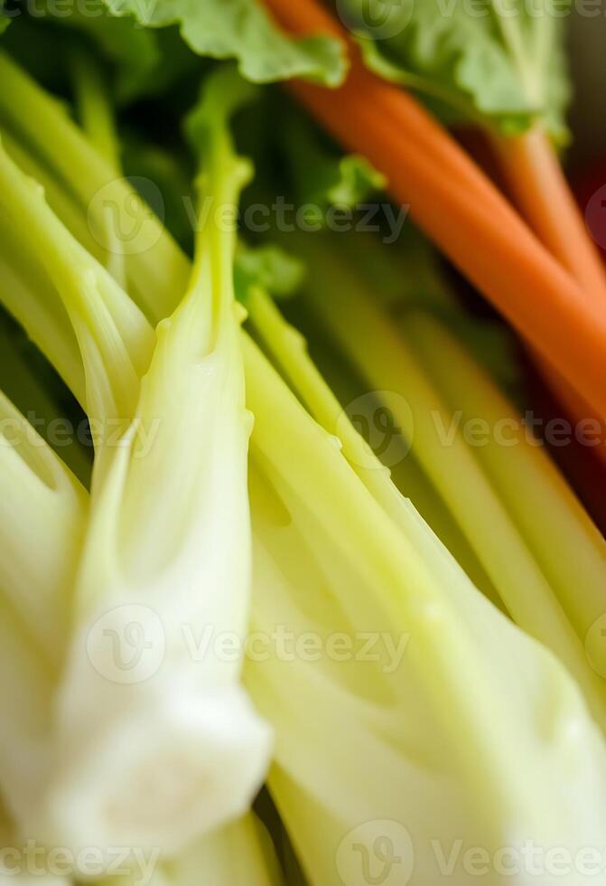 close up of a bunch of carrots and celery photo