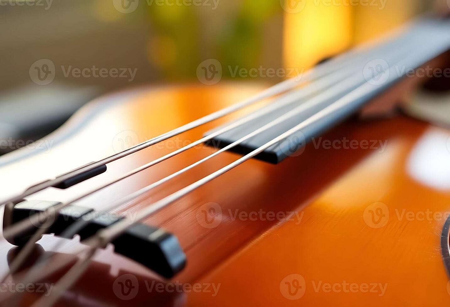 close up of a violin with strings photo