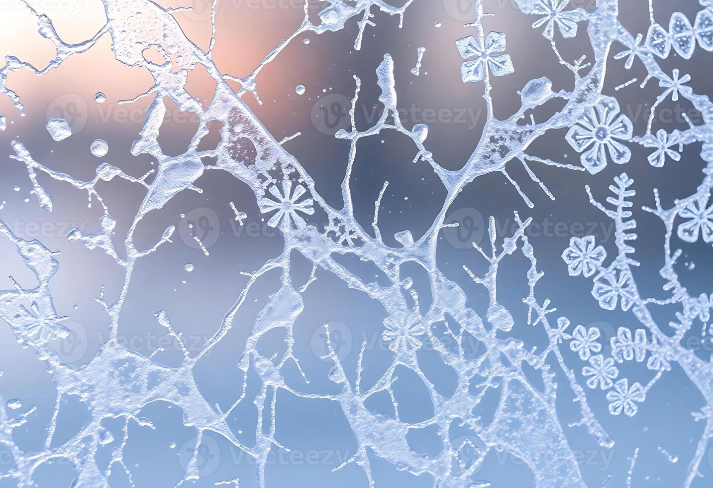 close up of a frosted window with flowers on it photo