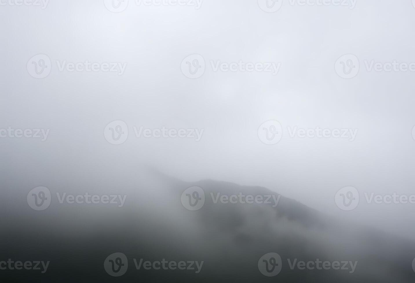 foggy mountain with a single tree in the foreground photo