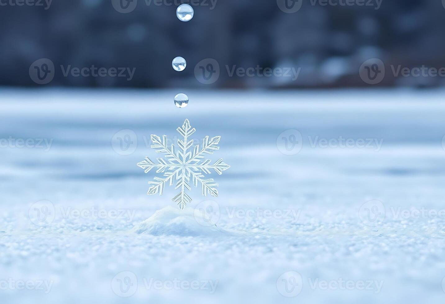 snowflake is shown in the middle of the snow photo