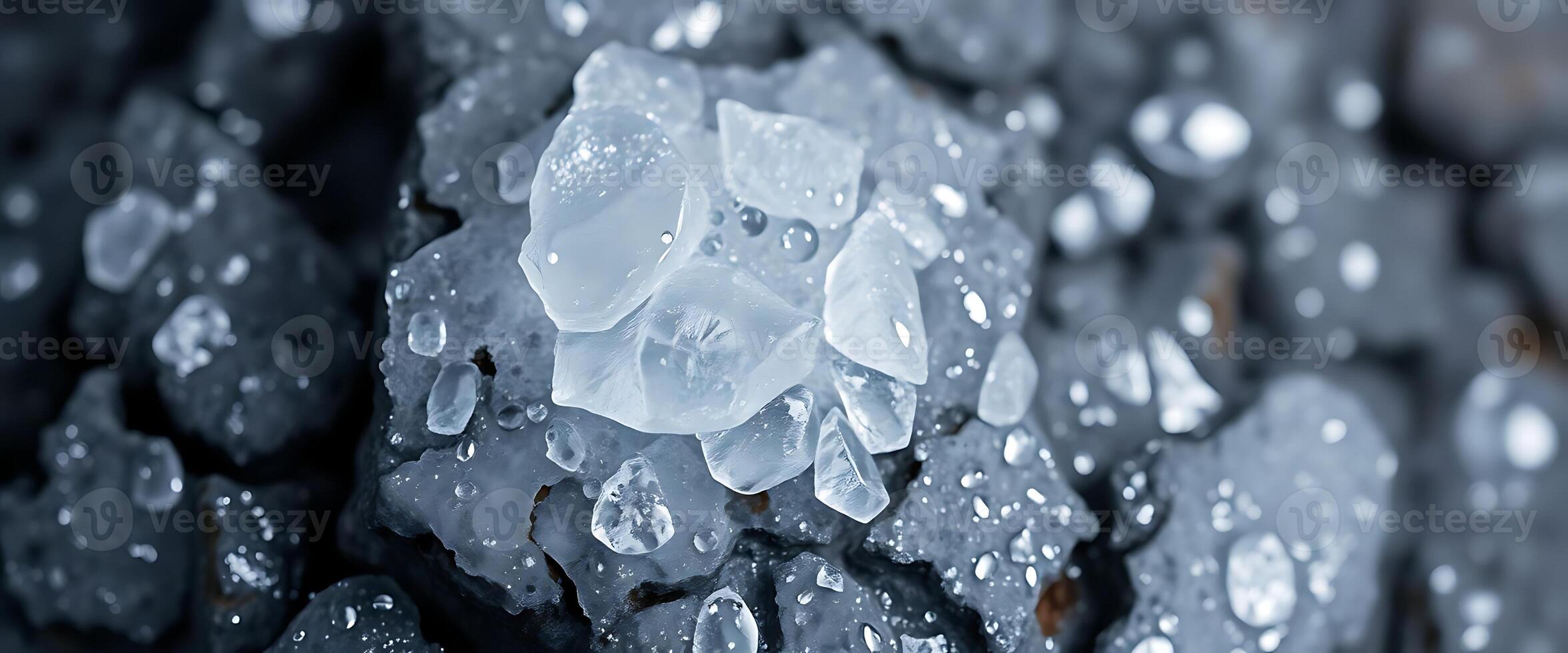 close up of water droplets on rocks photo