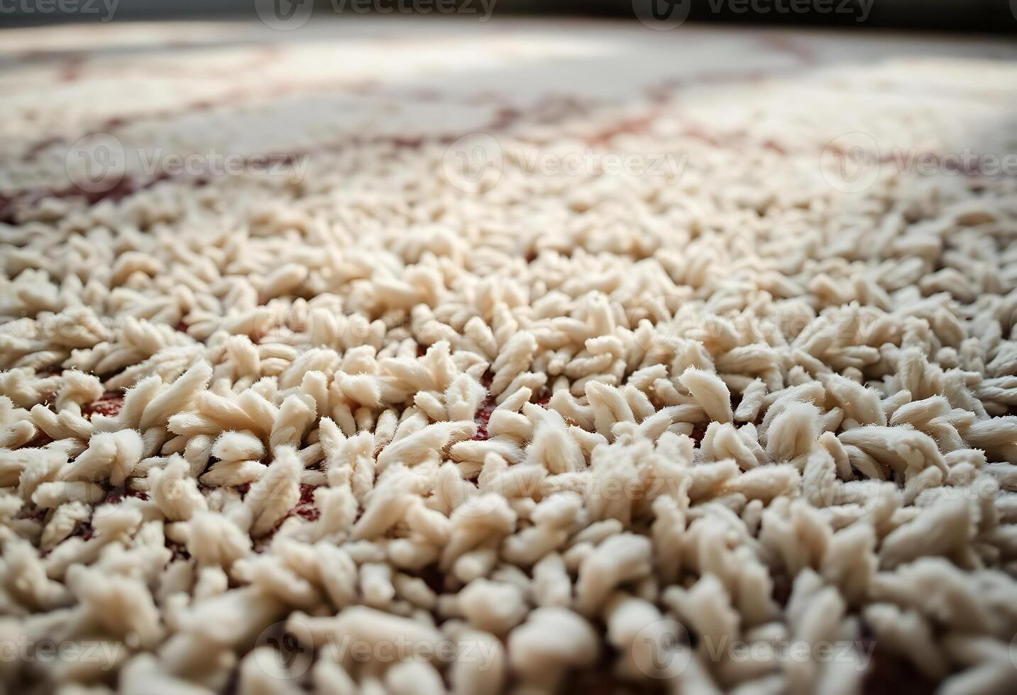 close up of a rug with a lot of rice on it photo