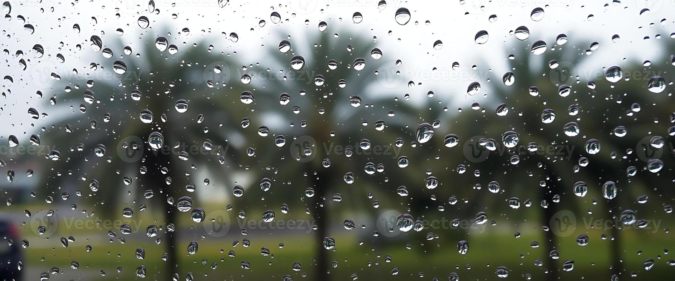 rain drops on a window with palm trees in the background photo