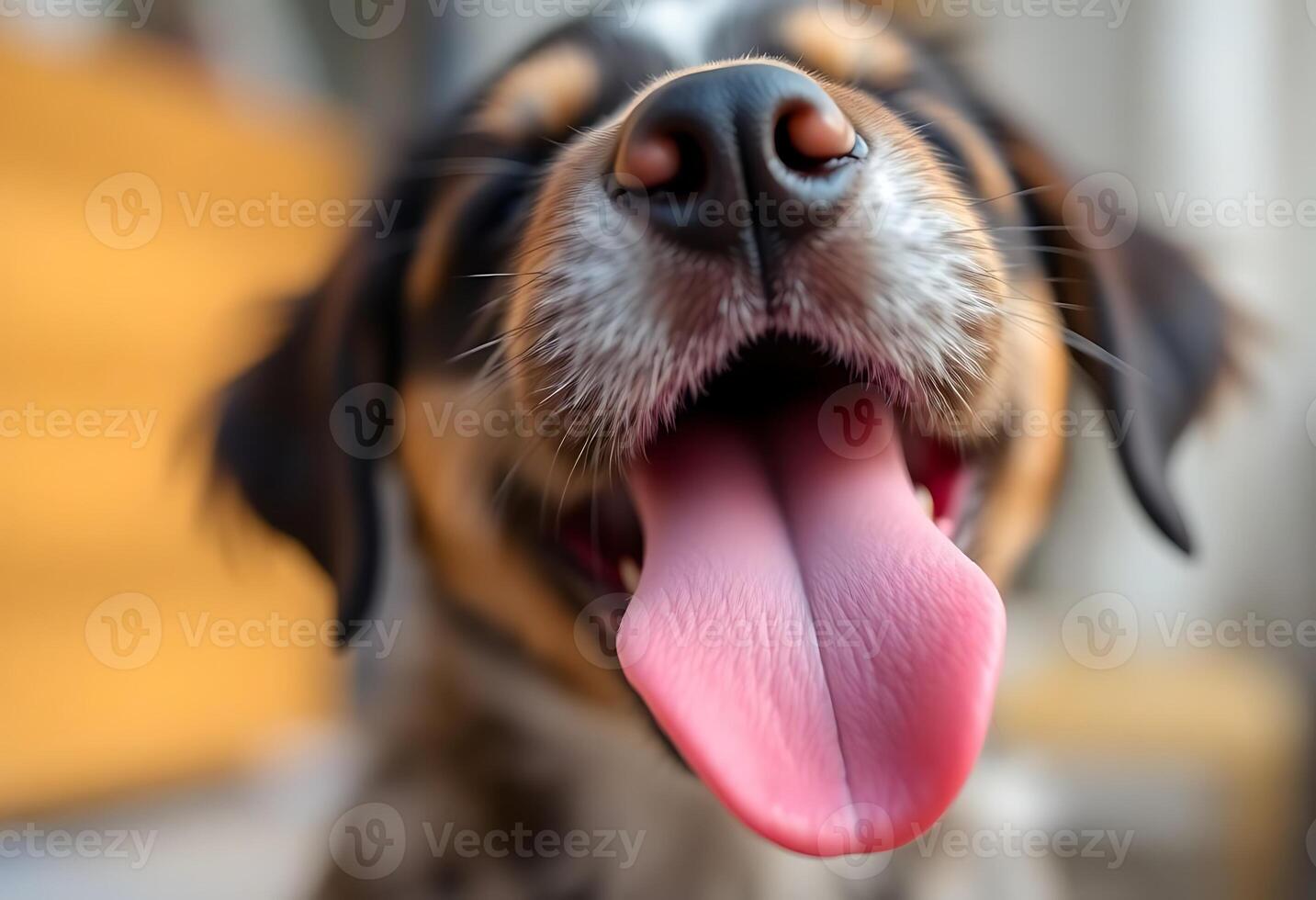 A dog with its tongue out and its mouth open photo