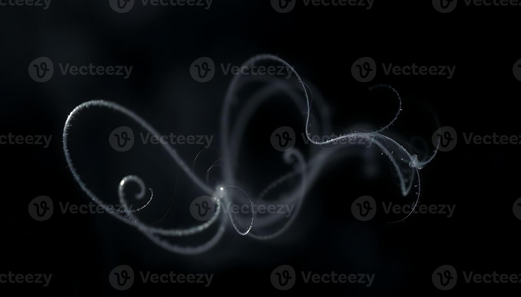 blurry image of a swirl in the dark photo