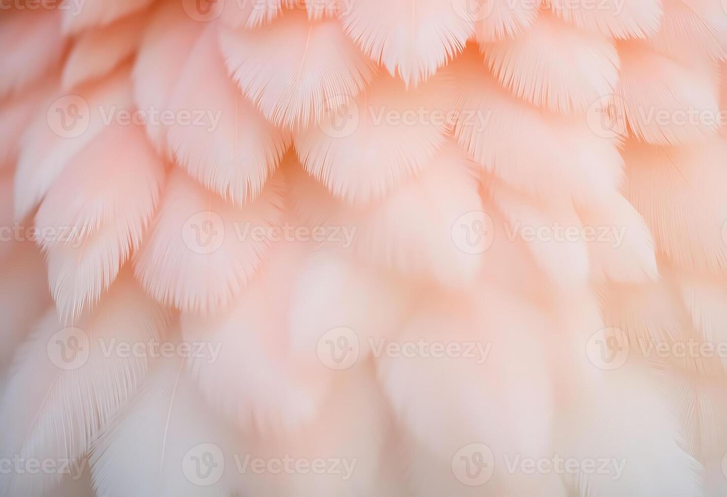 close up of a pink and white bird's feathers photo