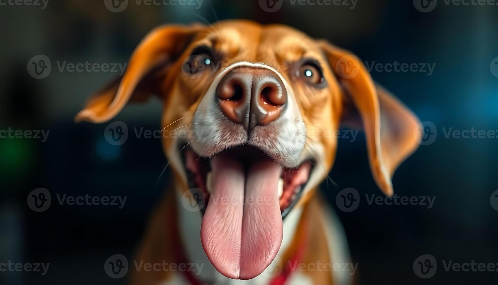 A dog with its tongue out and its tongue sticking out photo