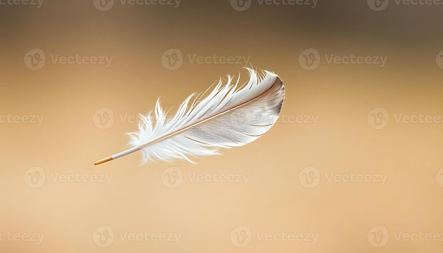 A white feather floating in the air photo