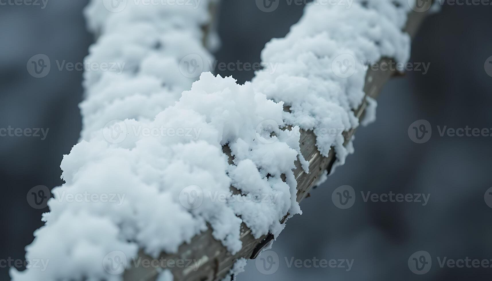 A close up of snow on a branch photo