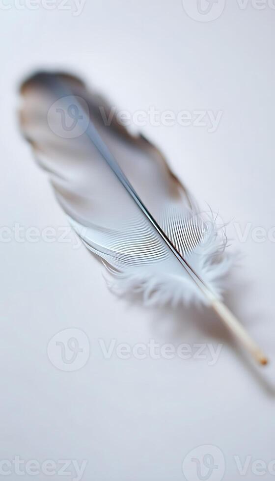 close up of a feather on a table photo