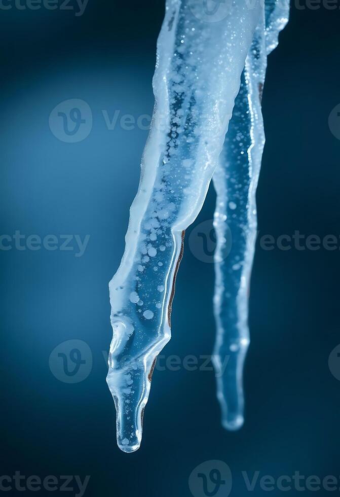 close up of some ice on a branch photo