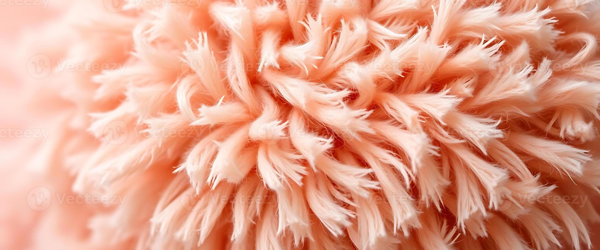 close up of a pink fluffy ball photo
