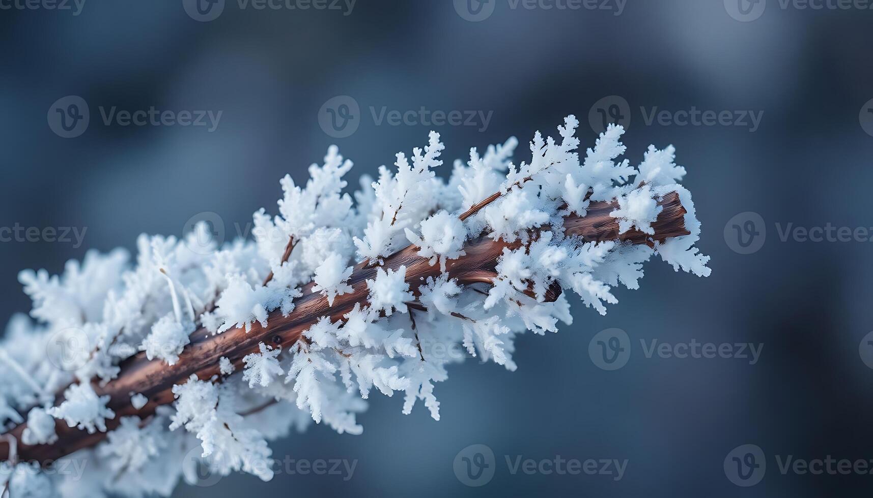 Frosty snowflake on a branch photo