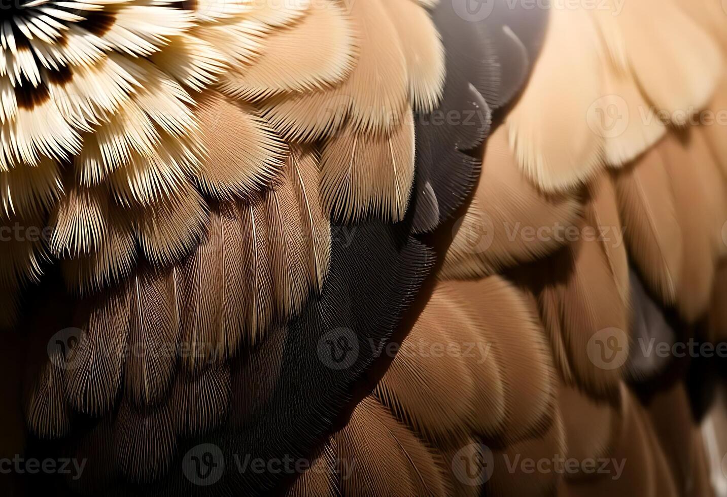 close up of a brown and black bird's feathers photo