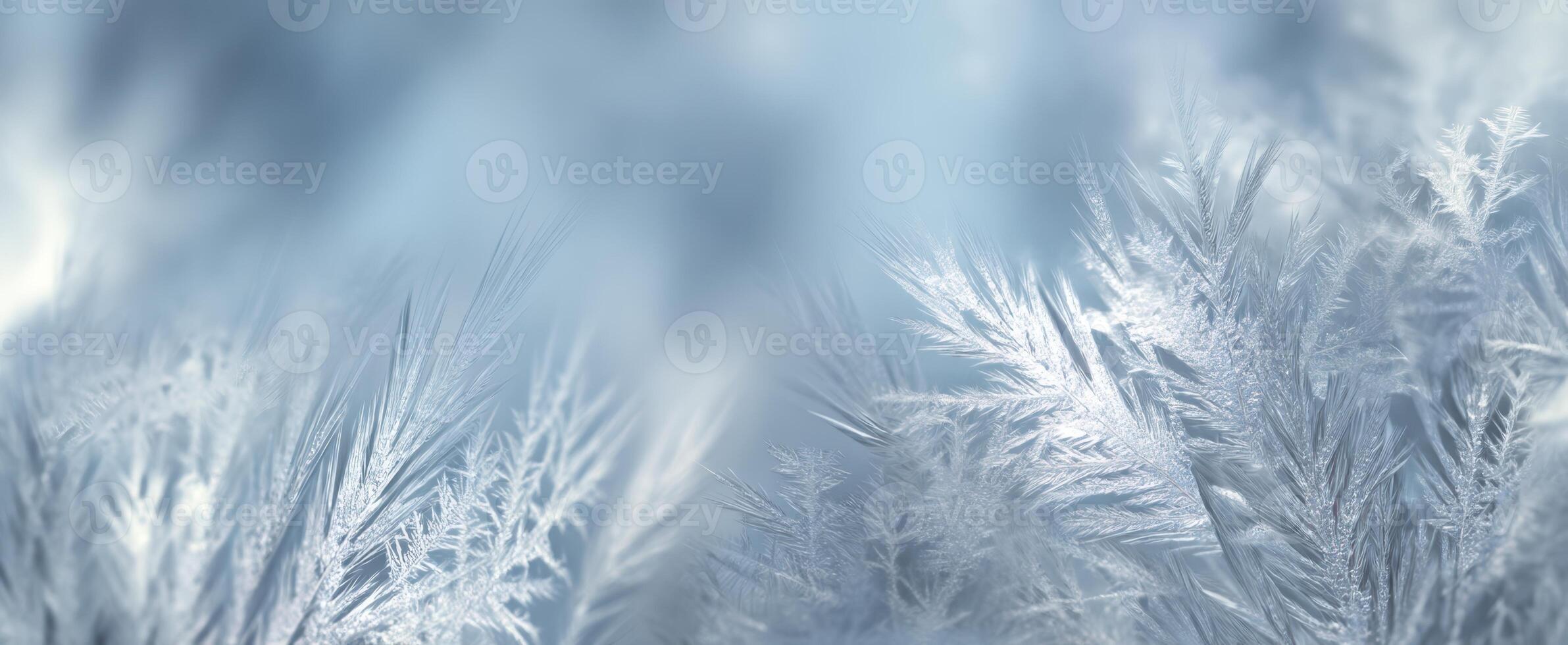 The Frosted Patterns of Ice in a Serene Winter Landscape photo
