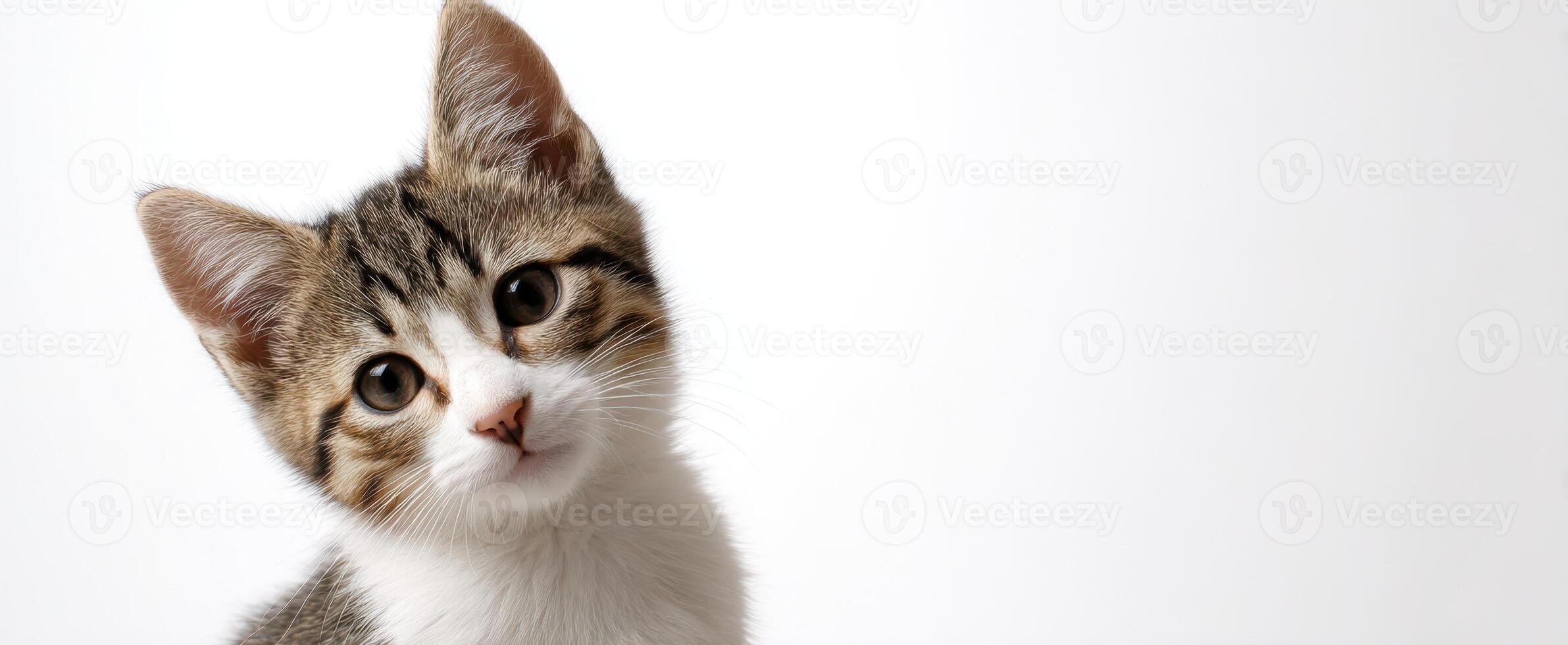 The playful kitten with big eyes and a curious expression in portrait mode. photo