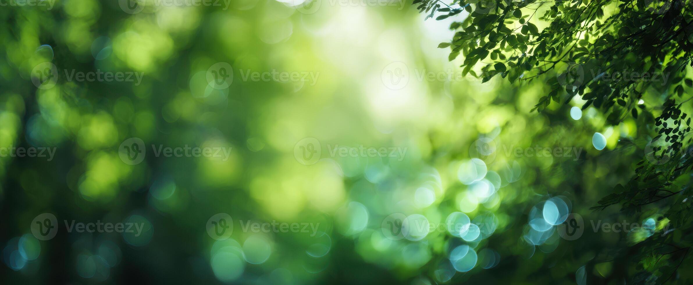 The tranquil green leaves creating a serene bokeh effect in nature. photo