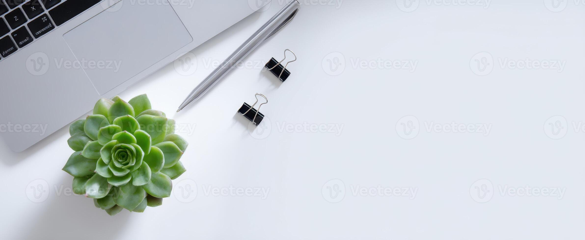 The modern workspace featuring a succulent plant and office accessories. photo