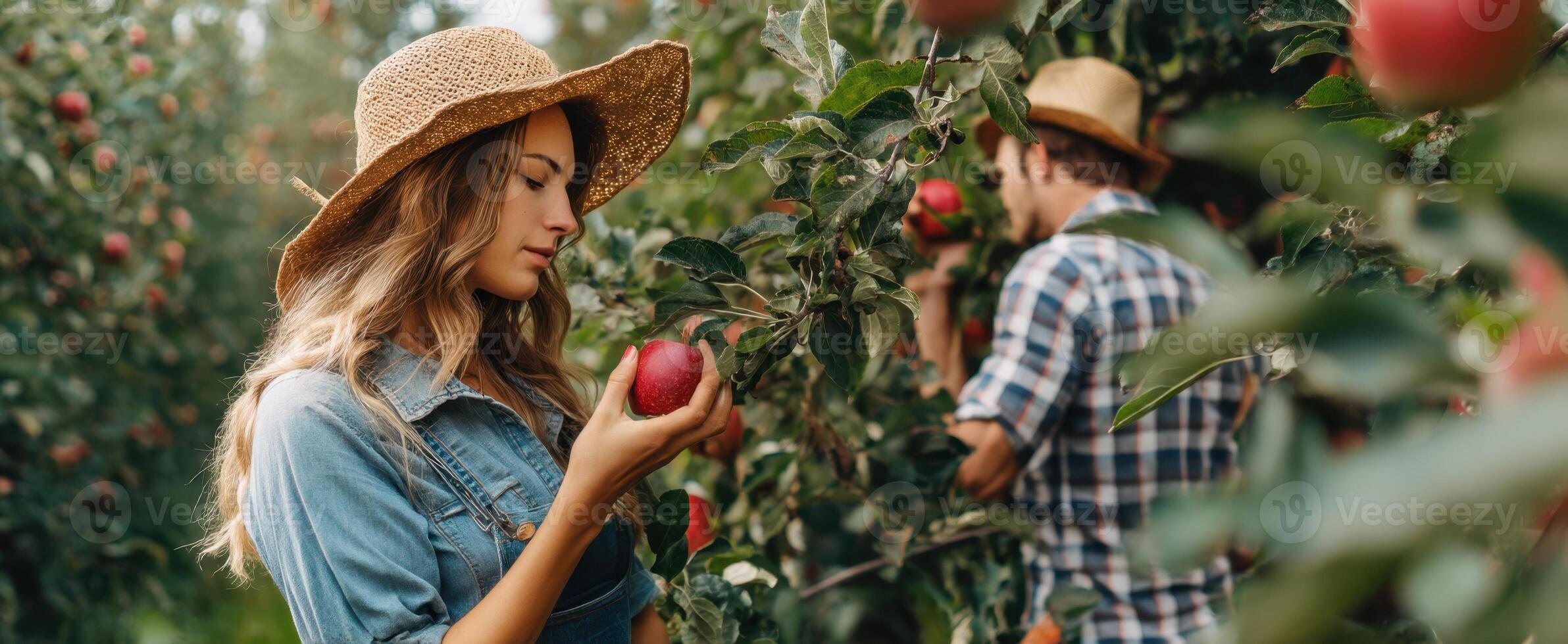 The woman picking apples in a sunny orchard with a smiling companion. photo