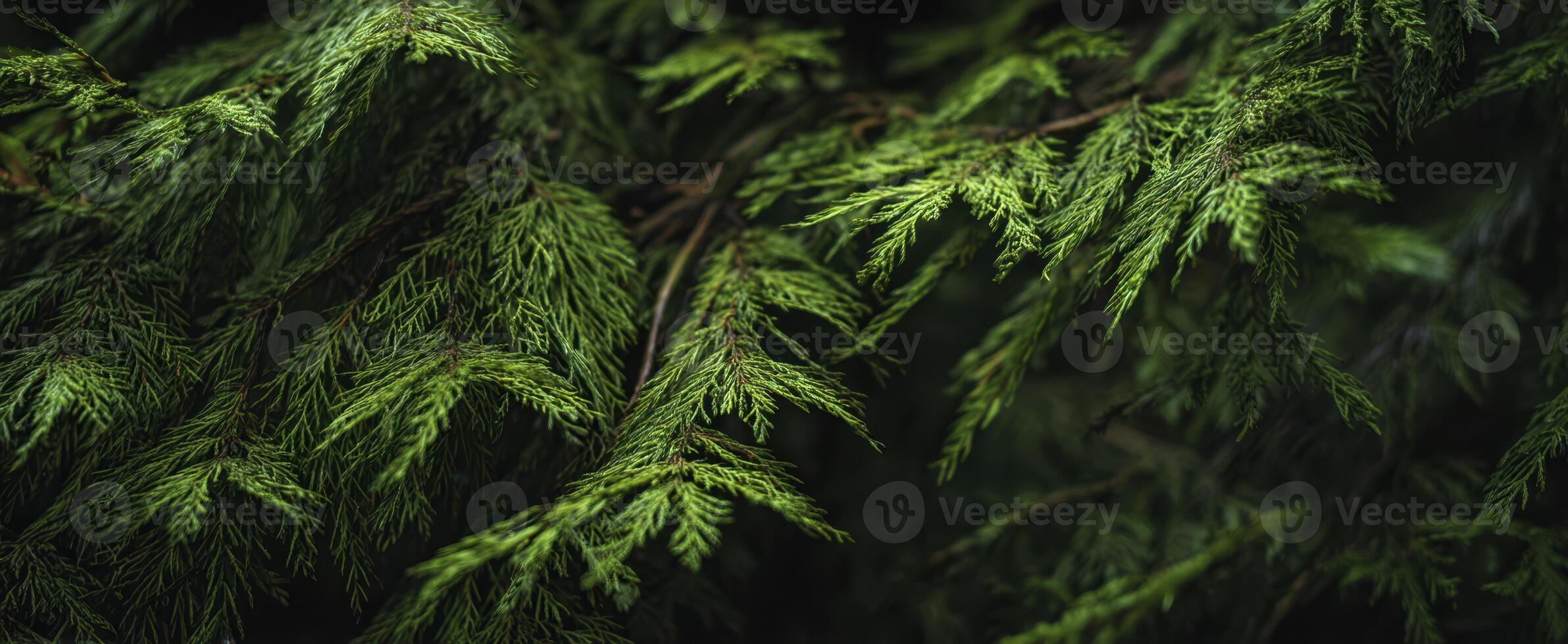 The intricate details of lush green leaves in a tranquil forest setting. photo