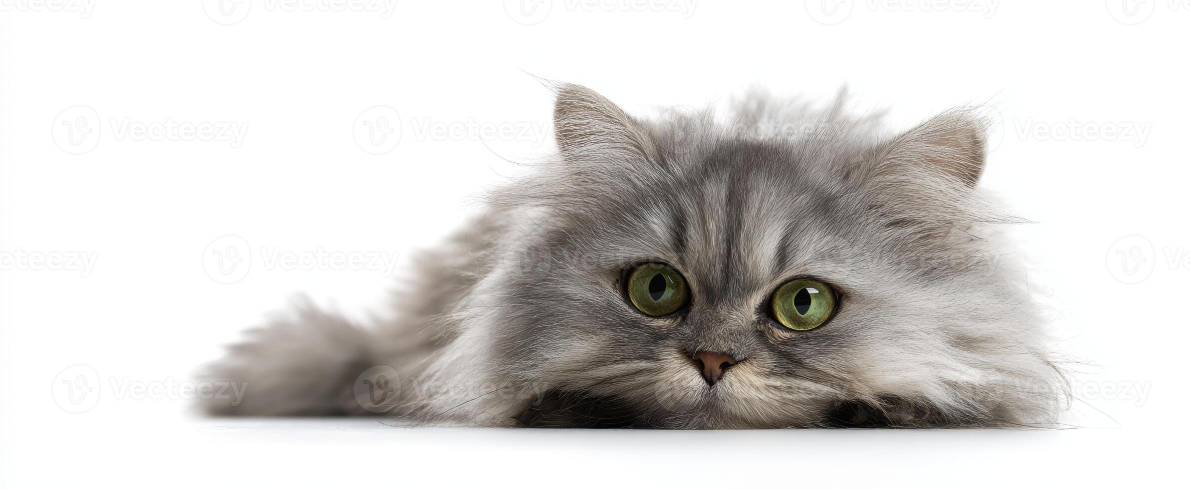 The fluffy cat with striking green eyes resting on a white surface. photo
