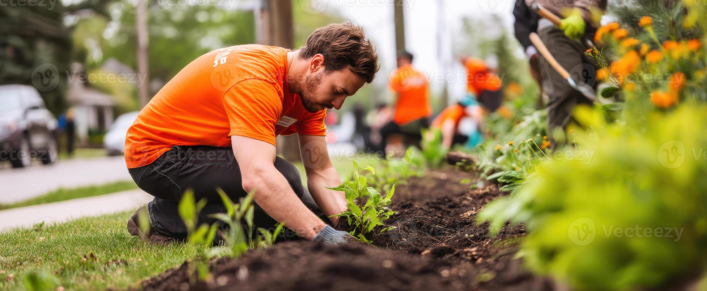 The gardener planting flowers in a vibrant community garden environment. photo