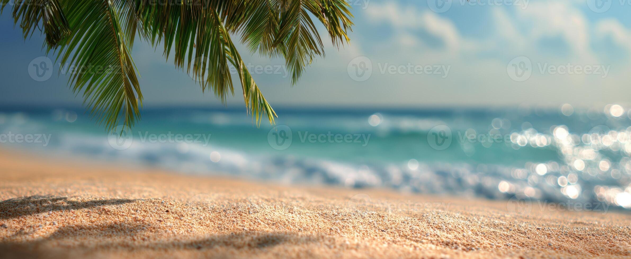 The serene beach scene with palm leaves framing the sparkling ocean. photo