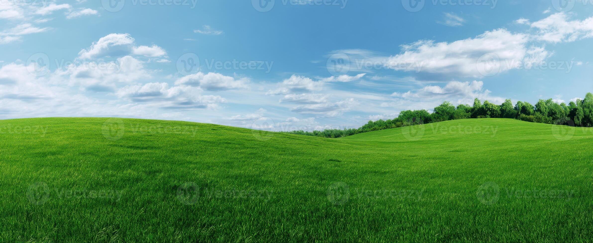 The Expansive Green Hills Under a Bright Blue Sky with Fluffy Clouds photo