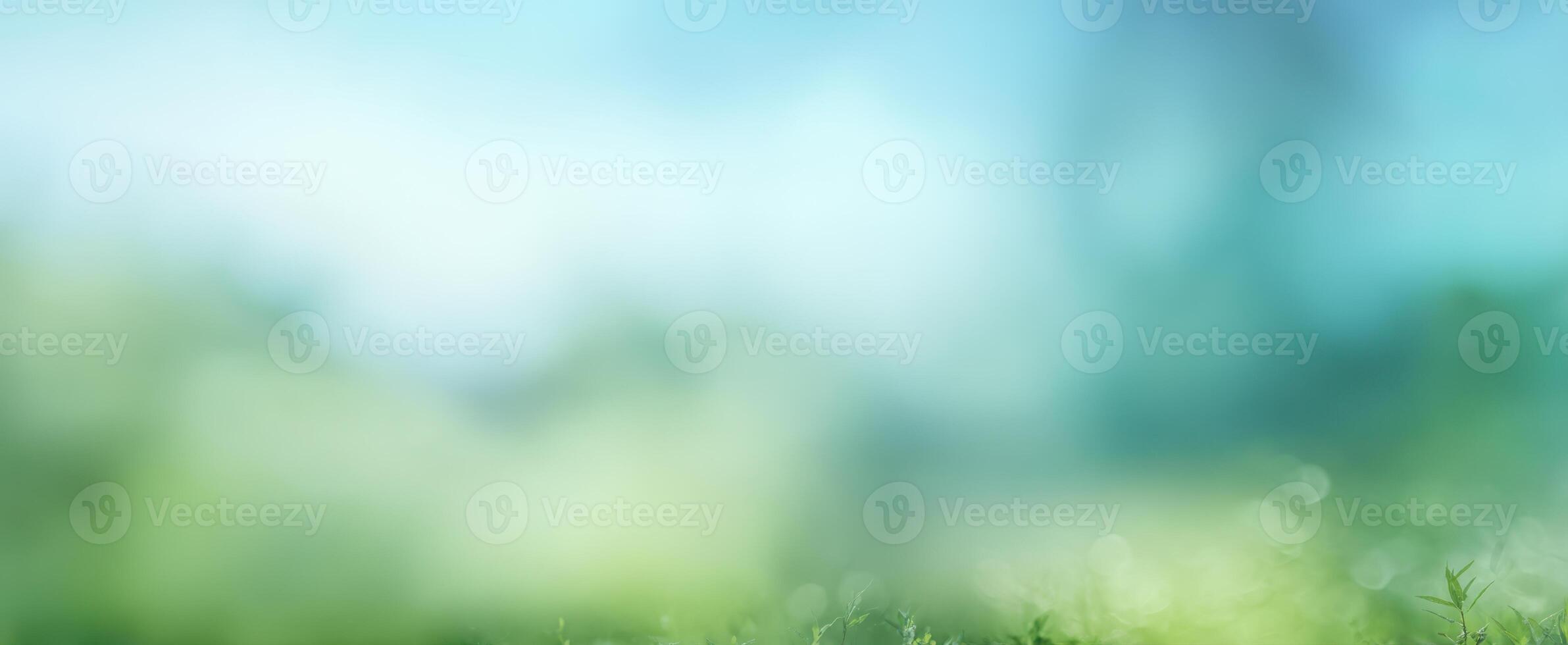 The beautiful blurred background of lush greenery and soft blue sky photo