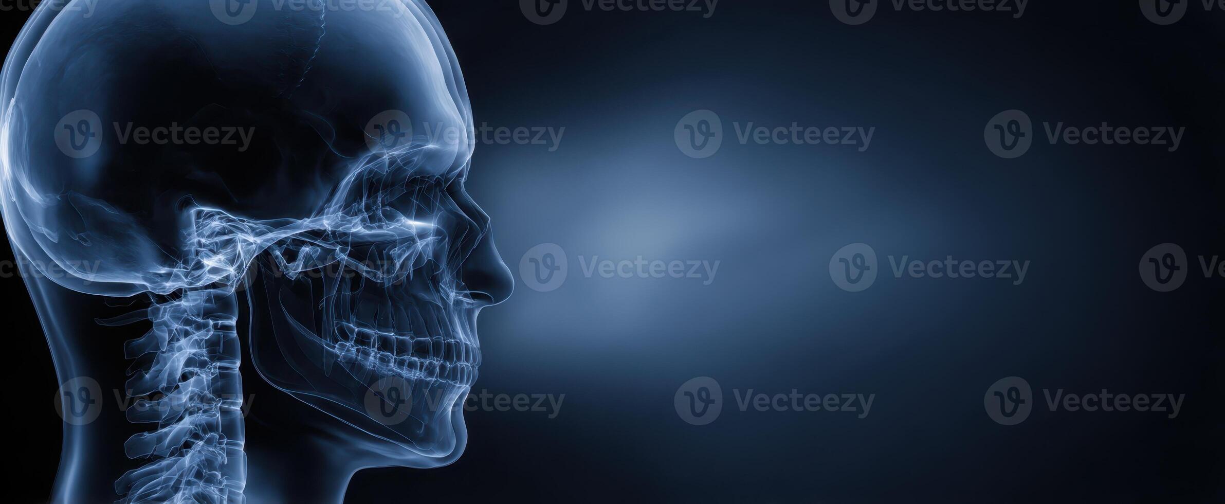 The stunning x-ray image of a human skull and spine against a dark background. photo