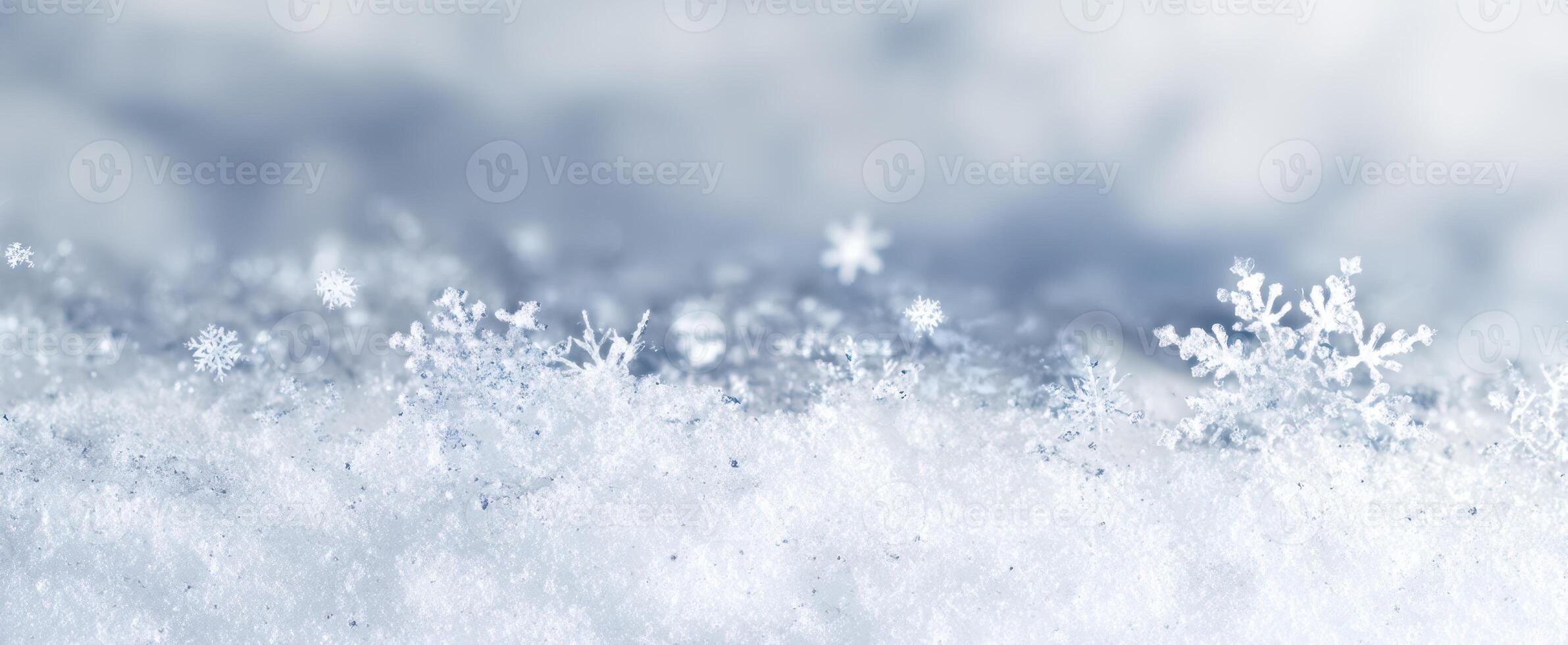 The delicate snowflakes resting gently on a blanket of pristine snow. photo