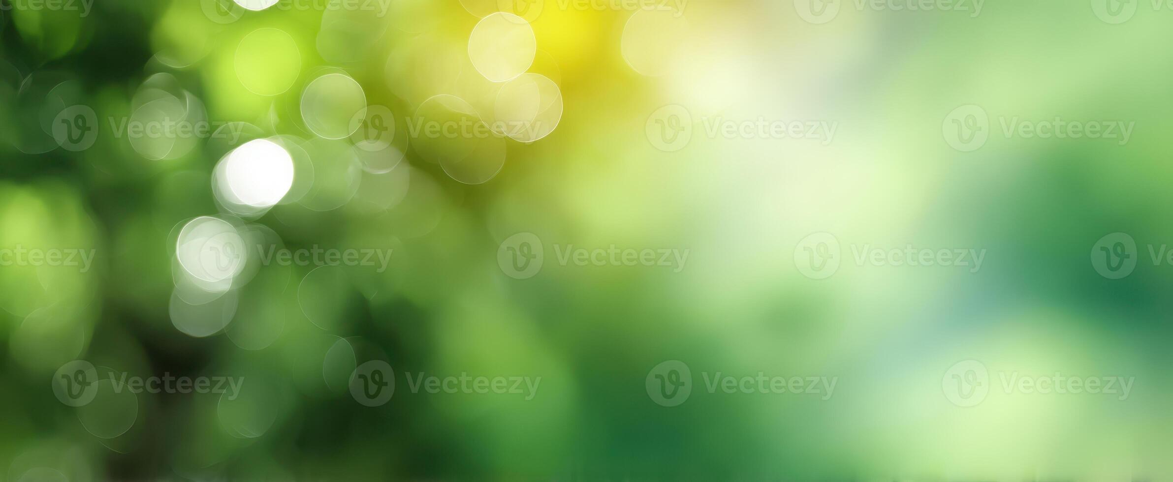 The beautiful bokeh background of vibrant green foliage and soft sunlight photo