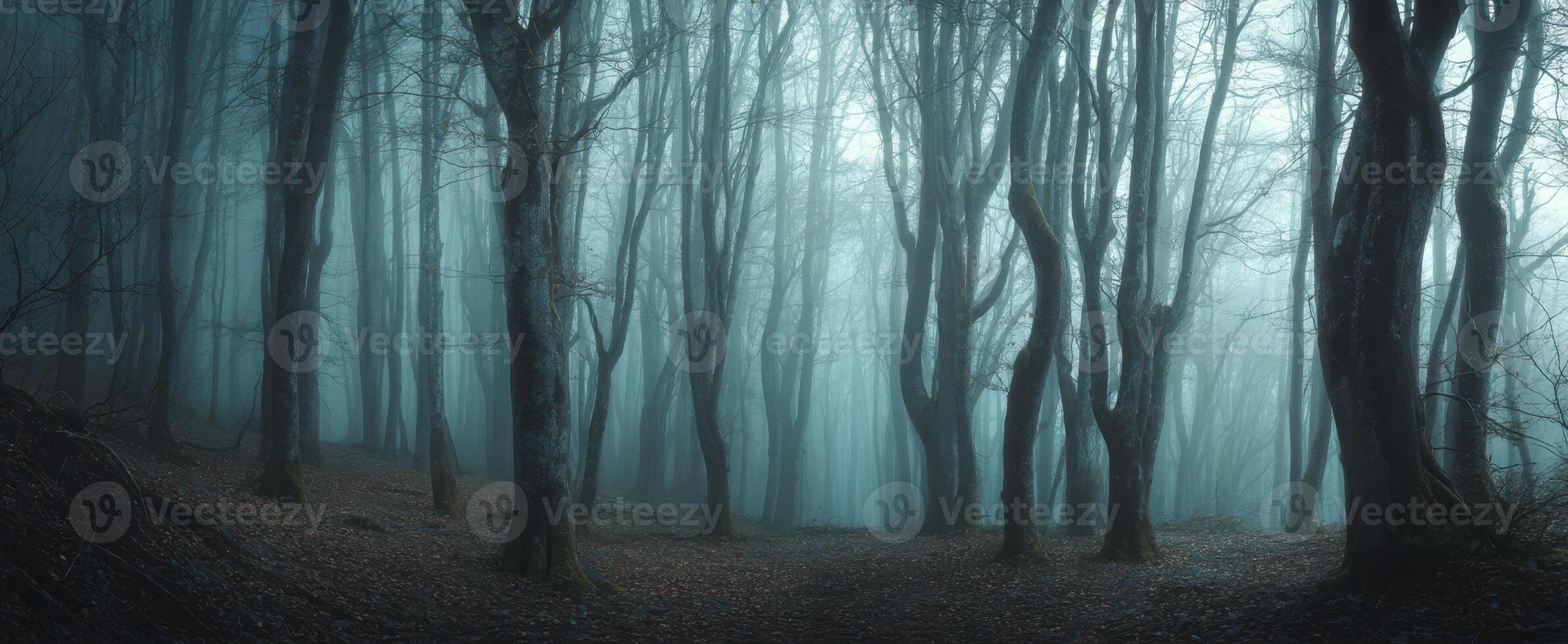 The Enigmatic Forest Shrouded in Ethereal Mist and Whispering Shadows photo