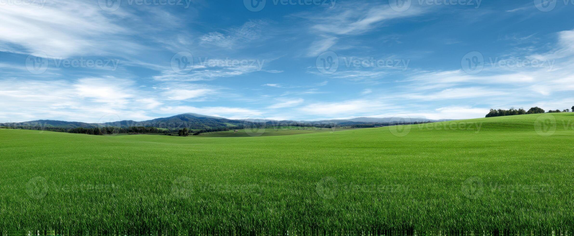 The expansive green fields under a vibrant blue sky with distant mountains. photo