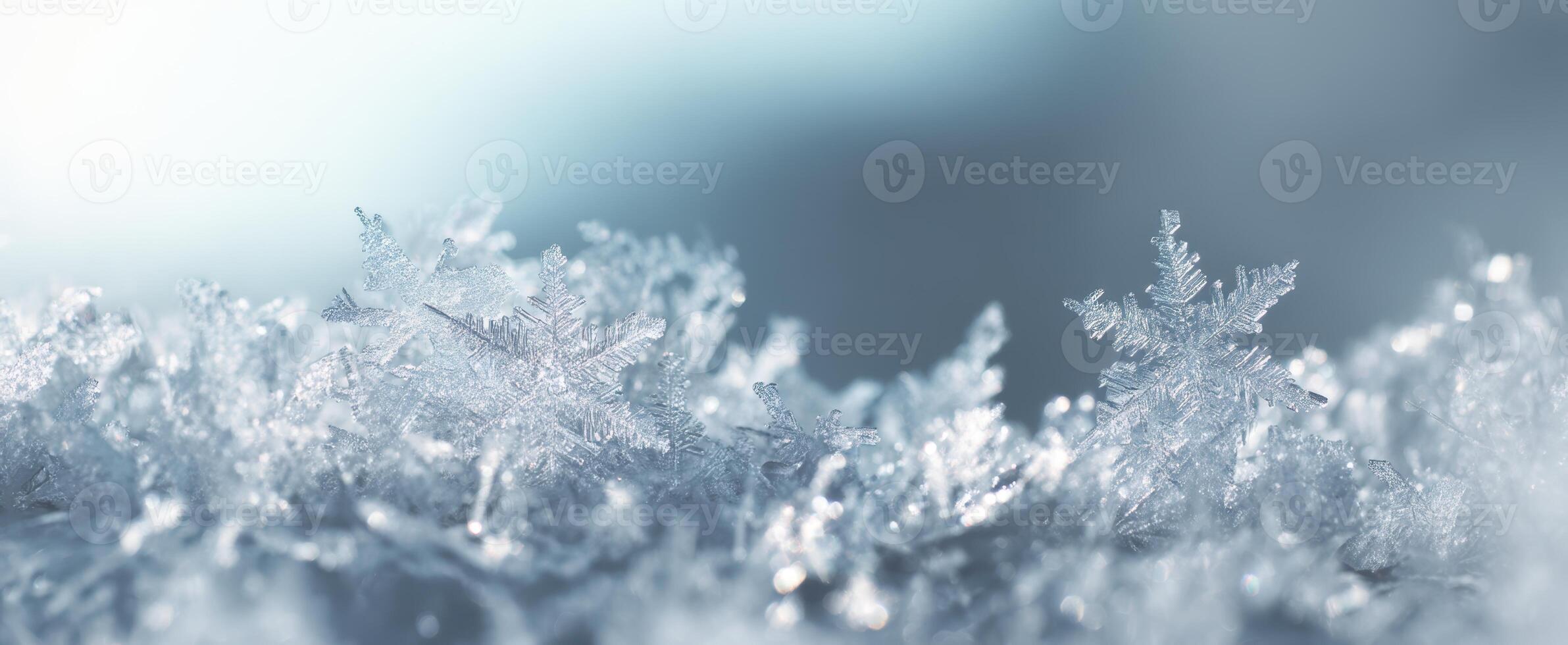 The Beautiful Detail of Snowflakes Glimmering Under Soft Light photo