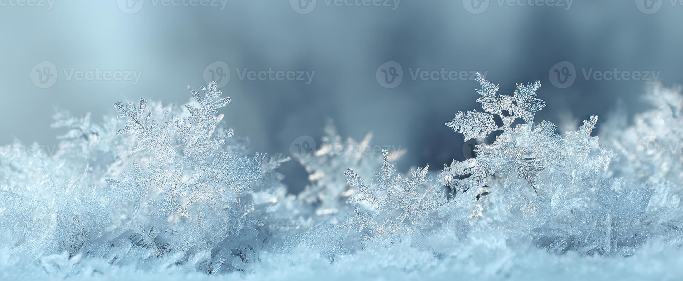 The frost-covered landscape showcasing intricate ice crystals in winter serenity. photo