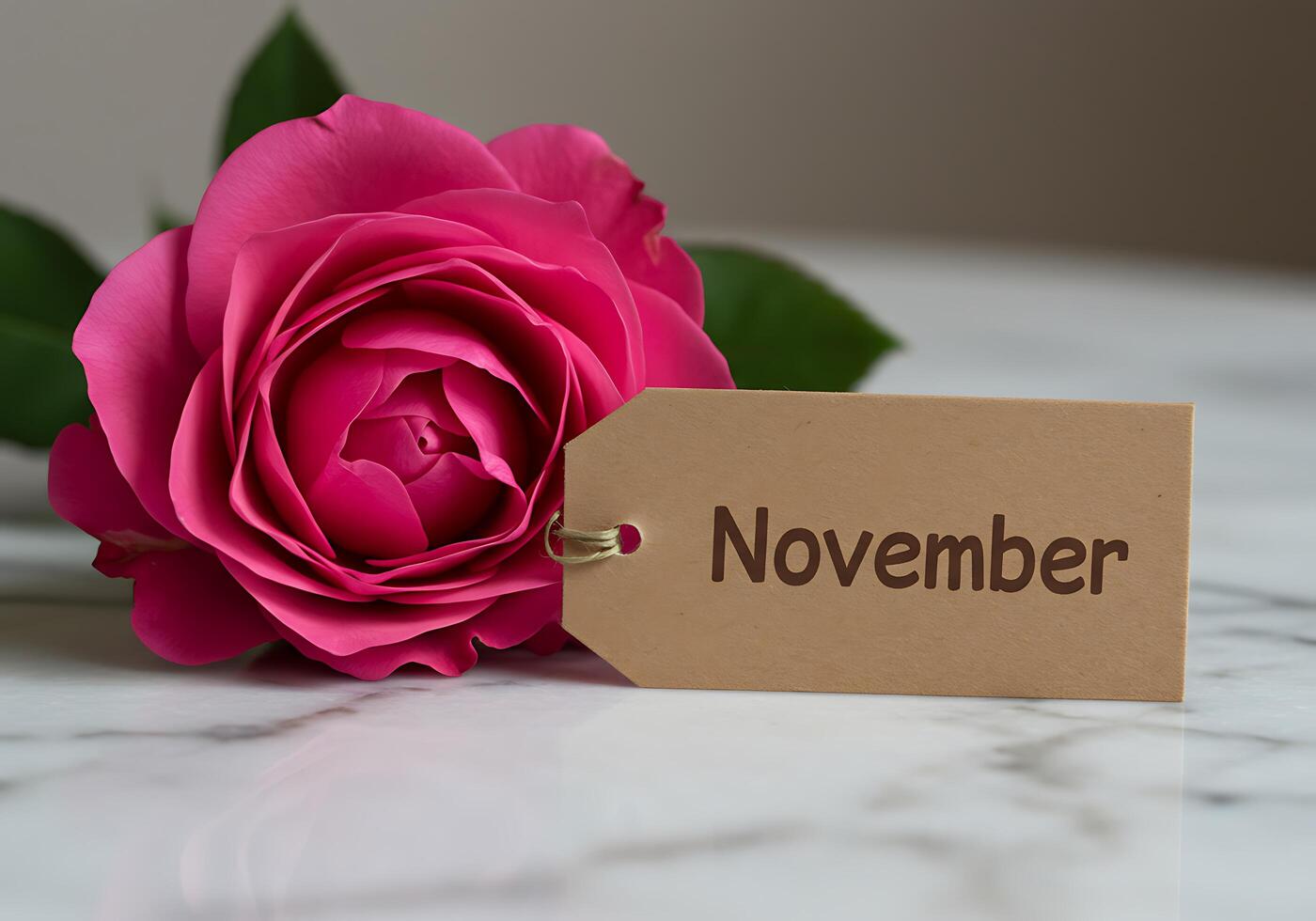 Pink Rose with November Tag on White Marble Surface photo