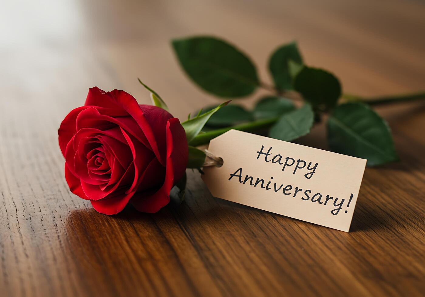 Red Rose with Happy Anniversary Tag photo