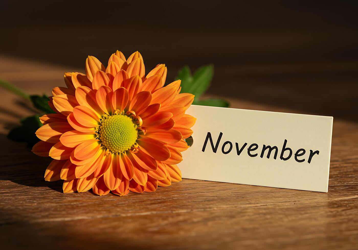 Orange Flower with November Card on Wood photo