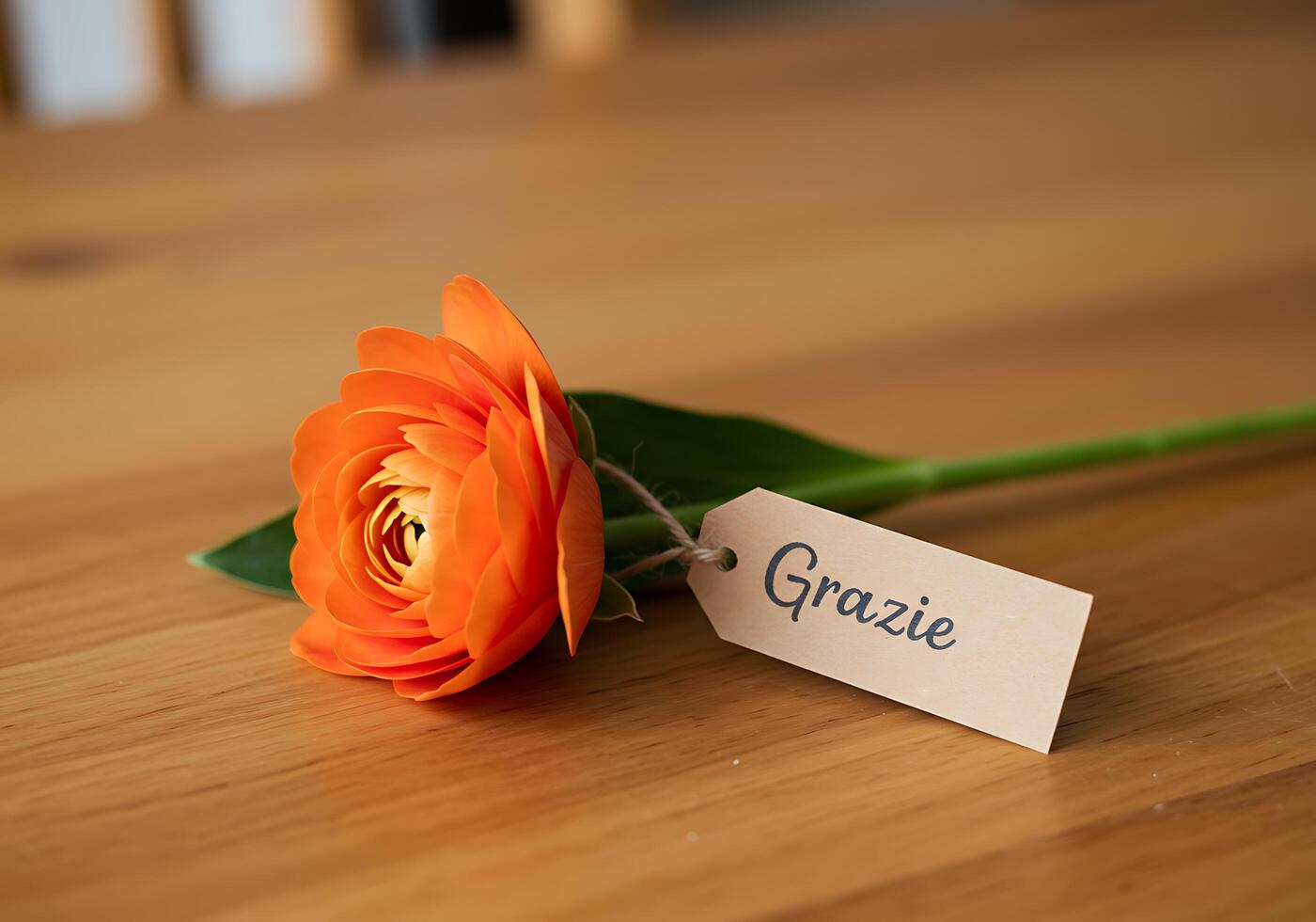 Orange Ranunculus Flower with Grazie Tag on Wooden Table photo