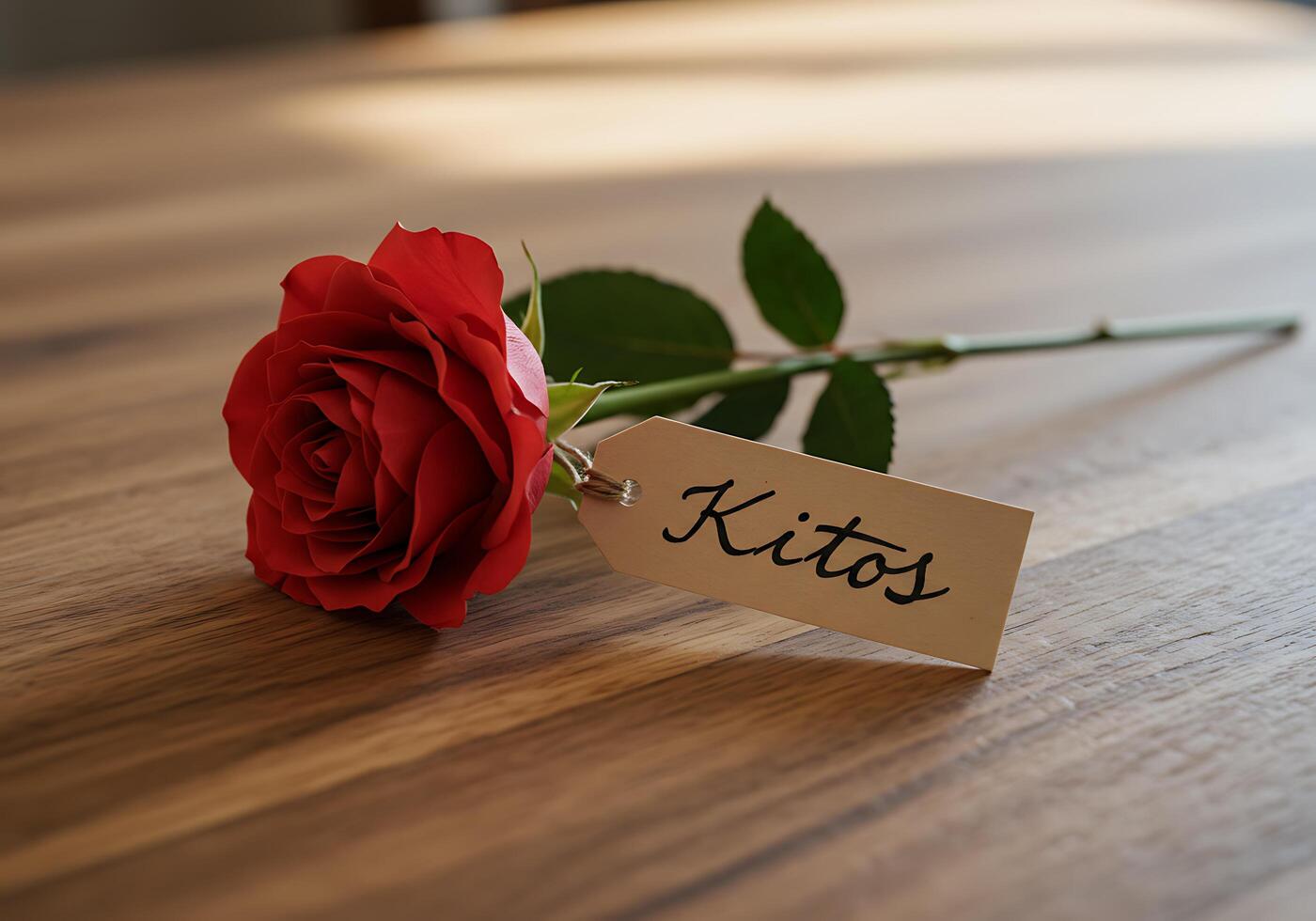 Red Rose with Tag on Wooden Surface photo