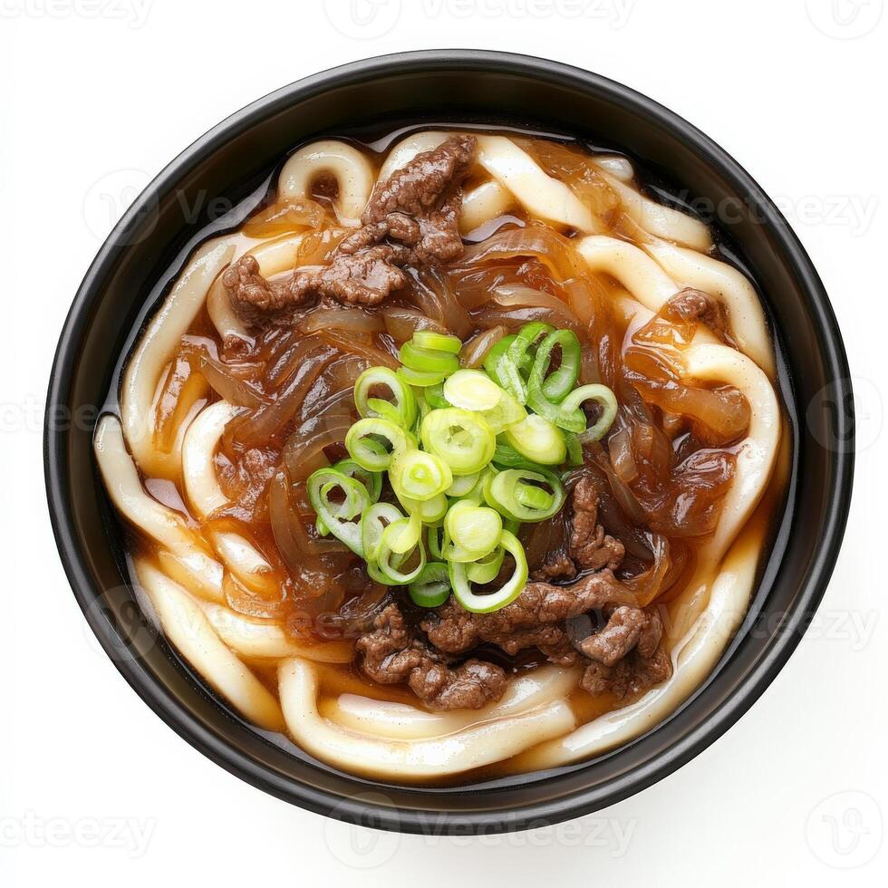A bowl of noodles with meat and green onions photo