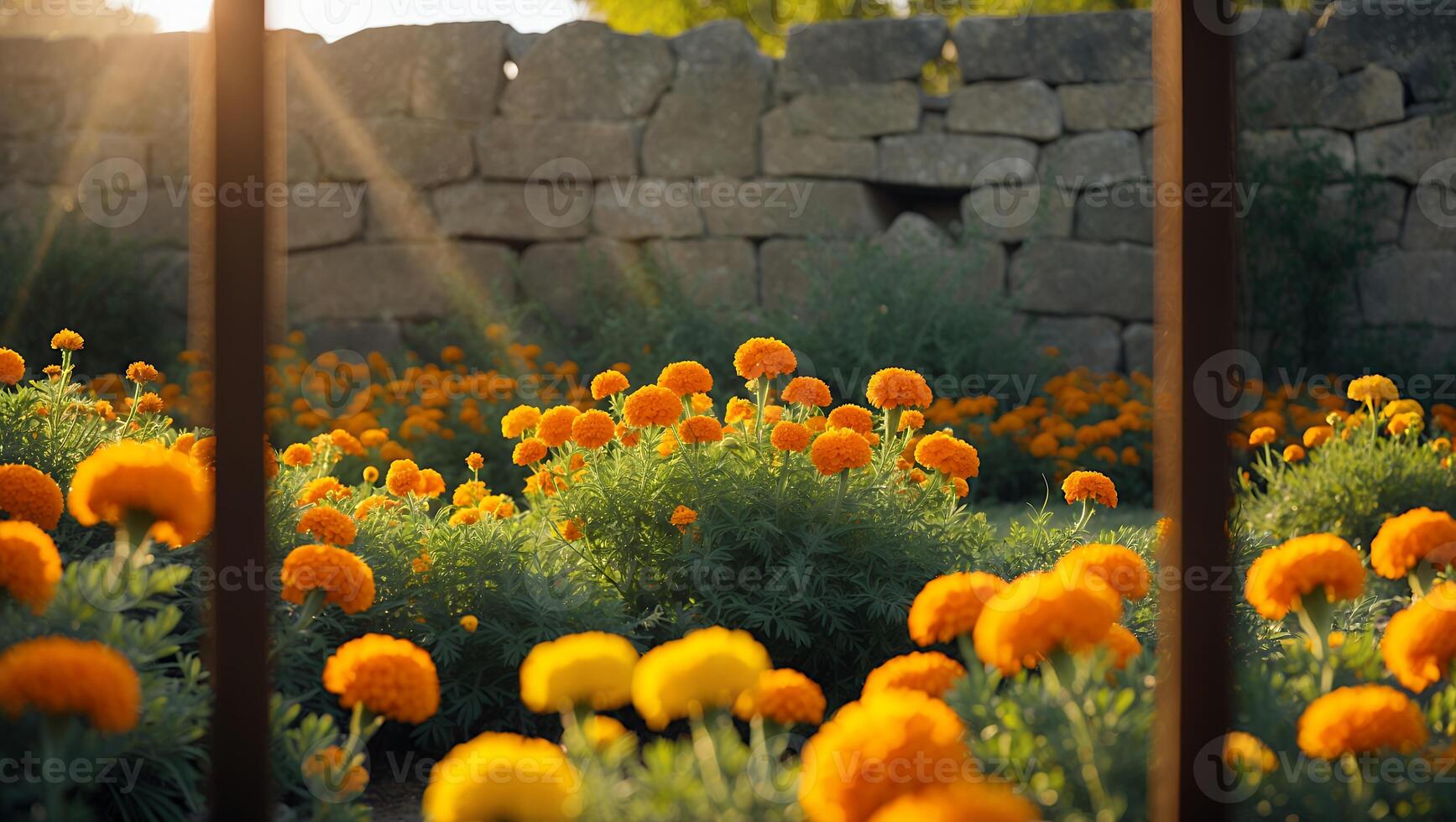 Marigold Flower Garden with Stone Wall Backdrop photo