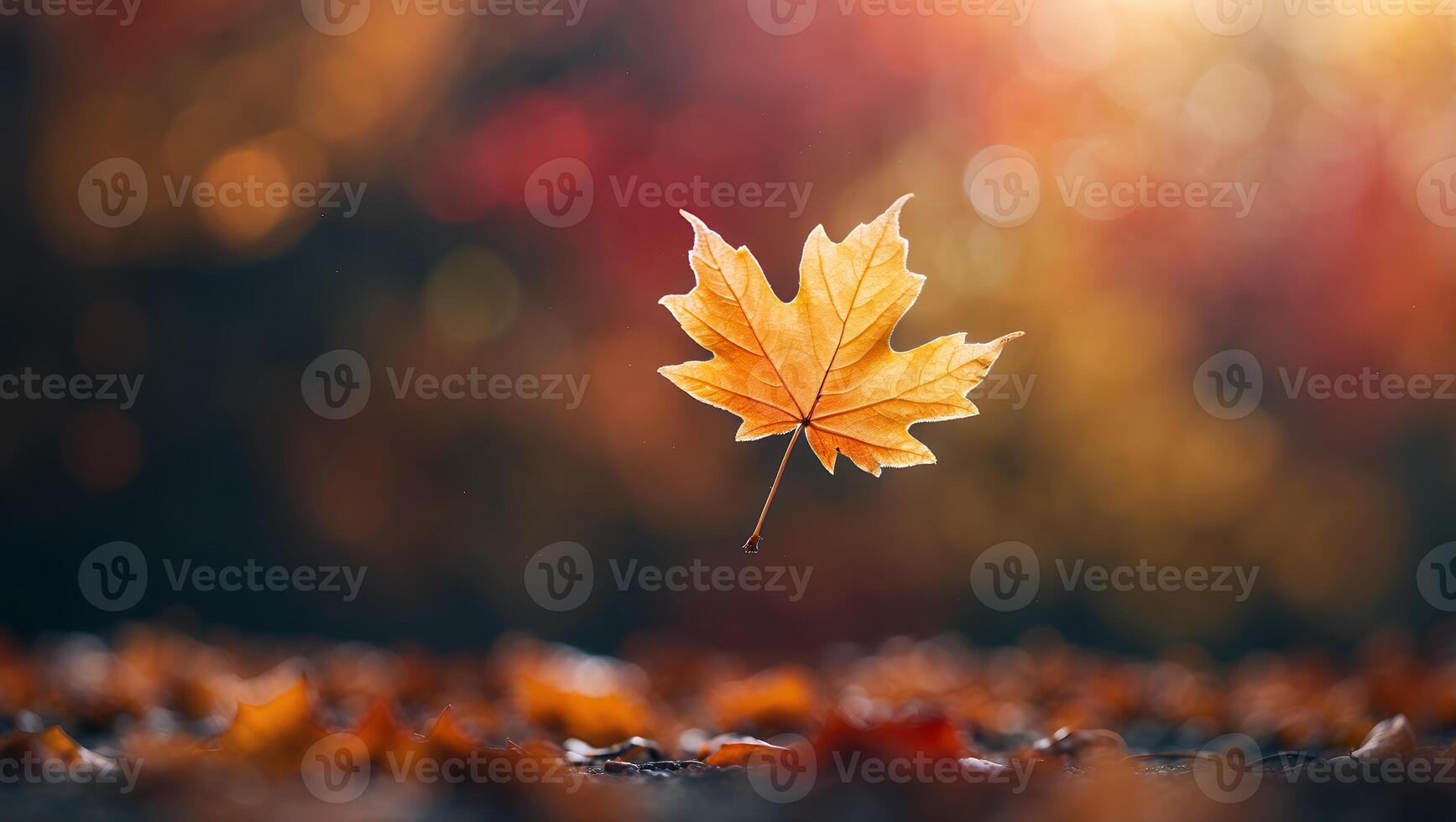 Falling Leaf Captures Autumnal Essence in Colorful Forest Ambiance photo