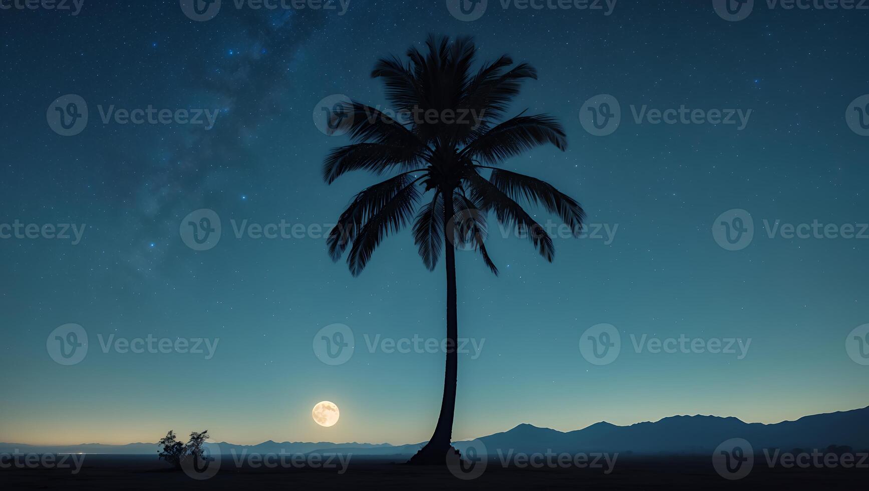 Palm Tree Silhouette Under Starry Night Sky with Moon Rising photo