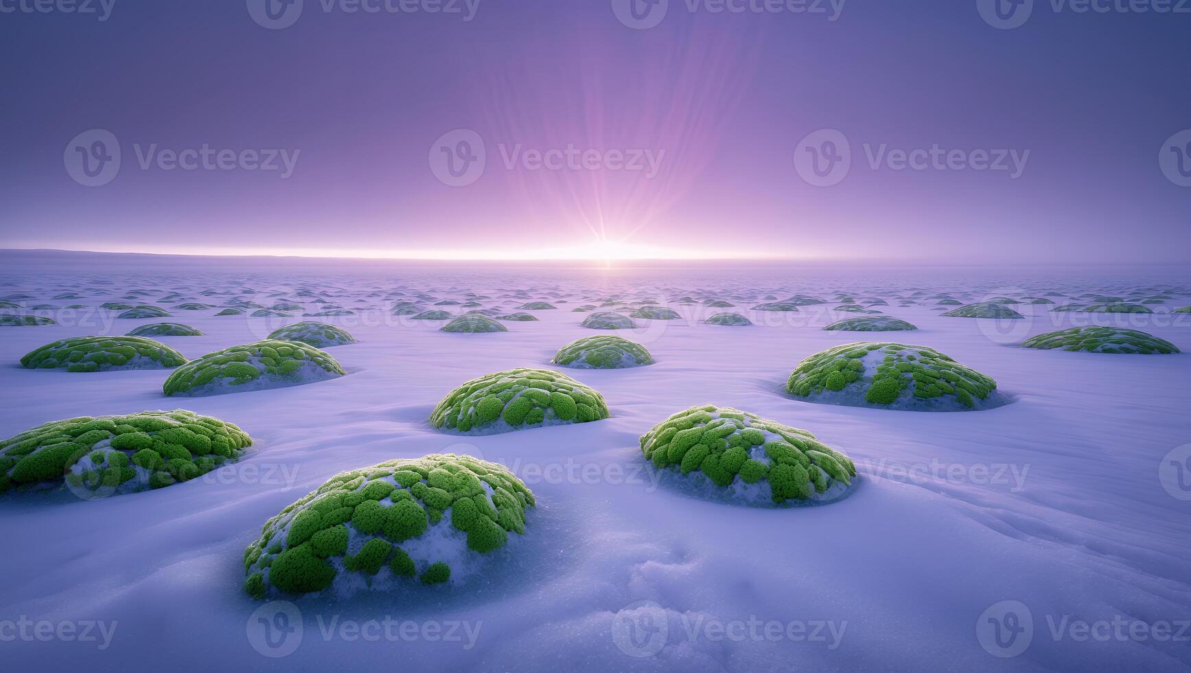 Mossy Rocks in Snowy Landscape Under Sunrise photo