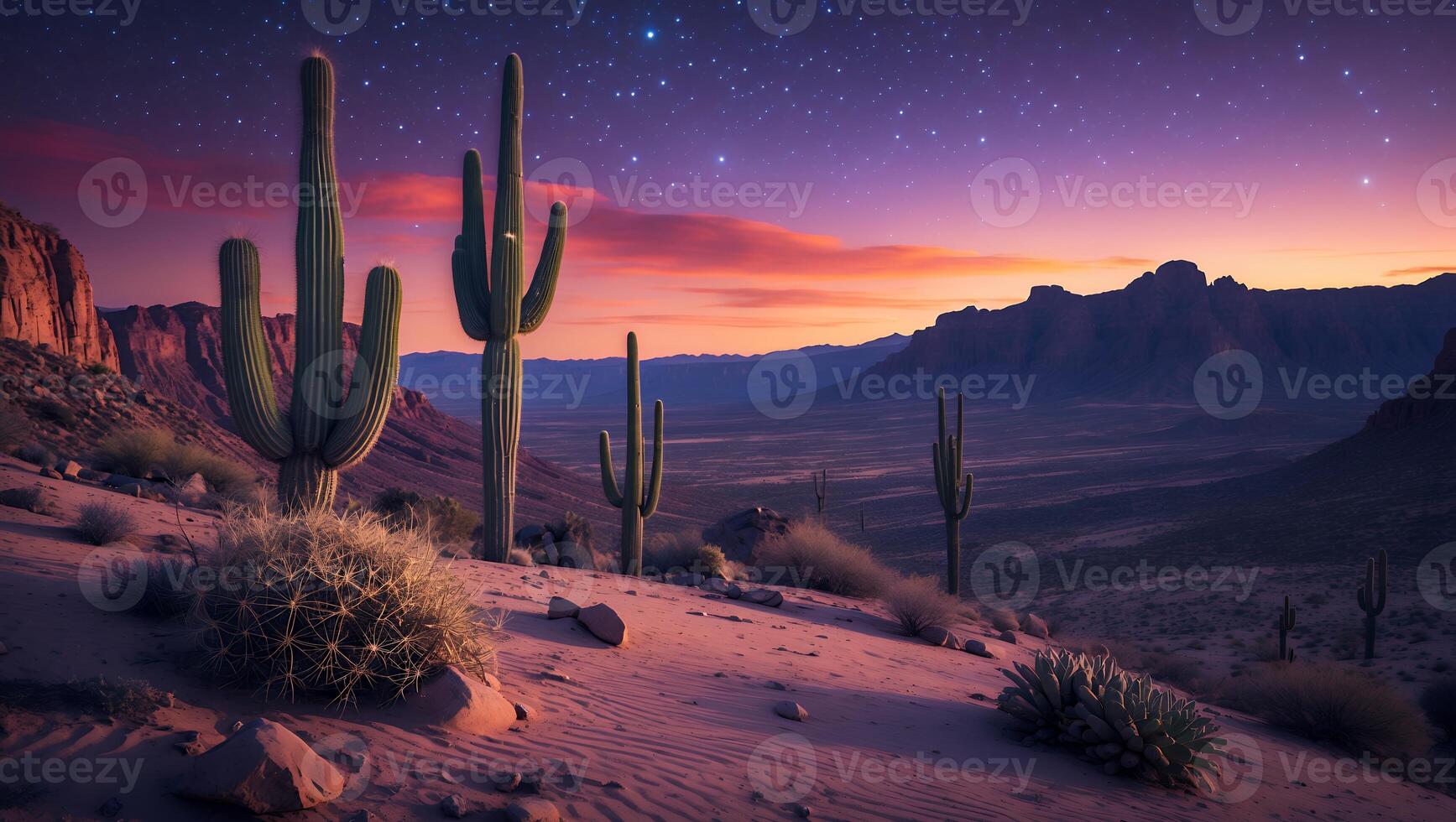 Cactus Landscape at Night with Stars photo
