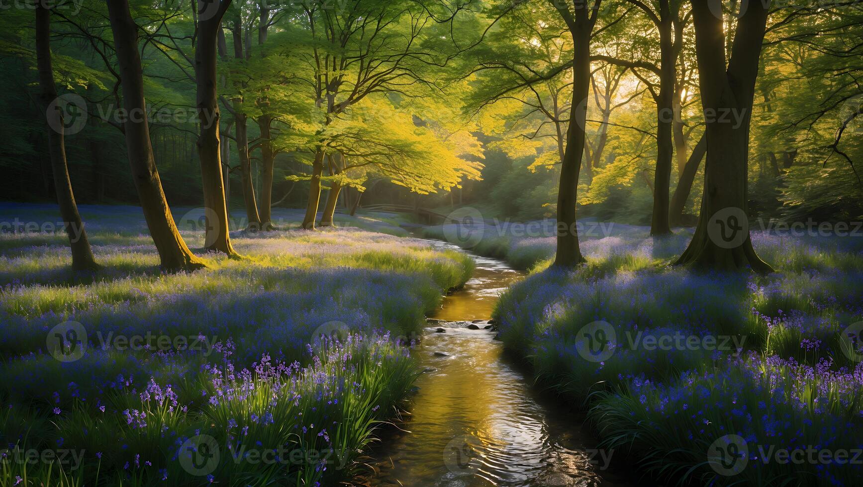 Stream Flows Through Forest with Bluebells and Sunlight Shining Through photo
