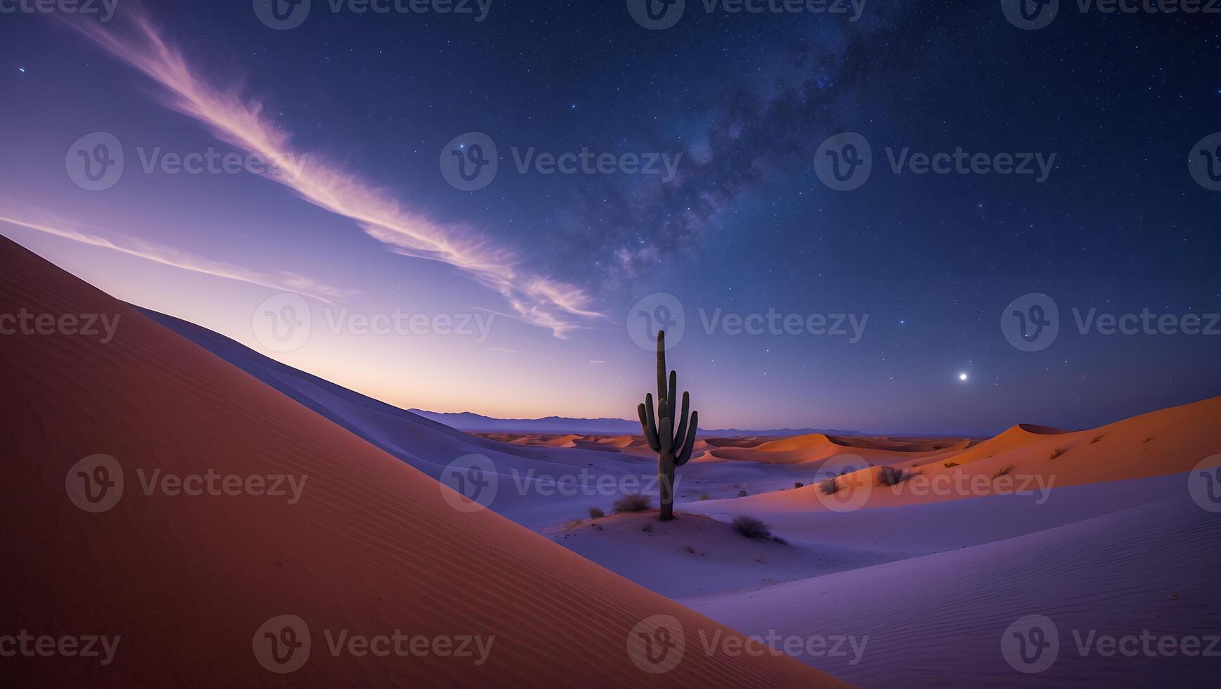 Desert Landscape with Cactus and Starry Night photo